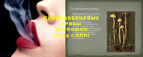 прущие крисы Горно-Алтайск